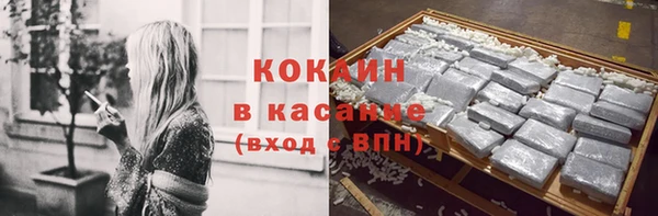 крисы Абаза