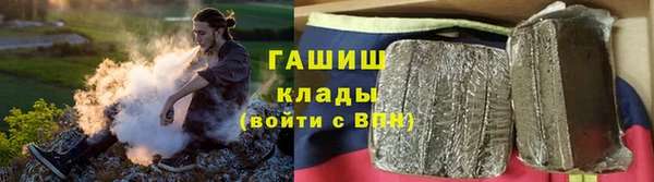 крисы Абаза