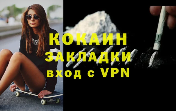 крисы Абаза