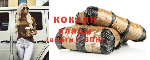 крисы Абаза