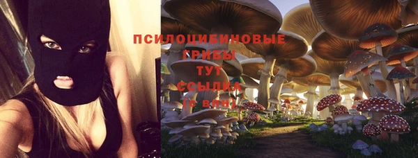 кристаллы Алзамай