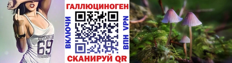 продажа наркотиков  Новокузнецк  Псилоцибиновые грибы прущие грибы 