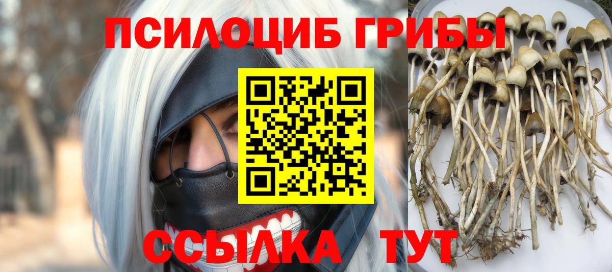 Галлюциногенные грибы Cubensis Новокузнецк